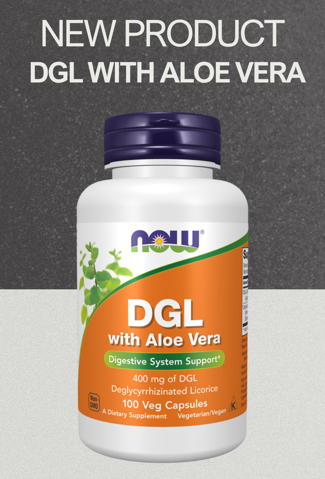 DGL WITH ALOE VERA - 100 CAP